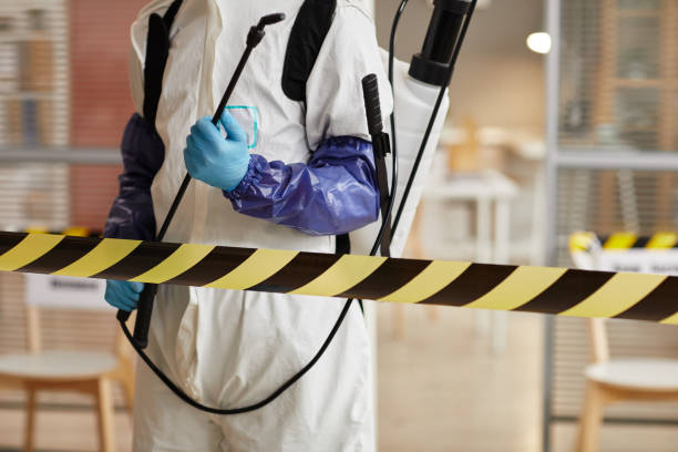 Professional Sewage Cleanup technician working in Meridian, ID